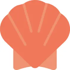 贝壳