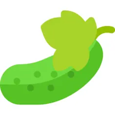 Cucumber