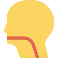 Throat