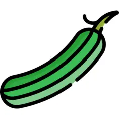 Cucumber