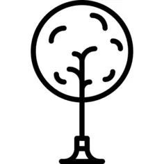 Park Tree