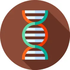 脱氧核糖核酸