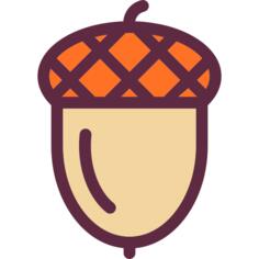 Acorn
