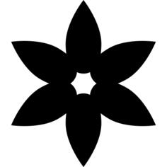 Flower with elongated petals