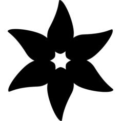 Flower with elongated petals