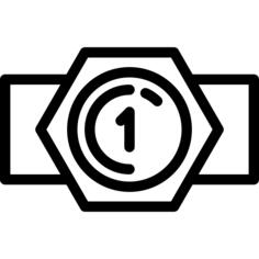 Champion belt