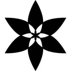 Flower with elongated petals