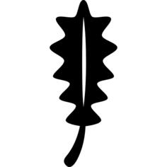 Leaf