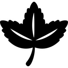 Leaf