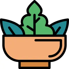 沙拉