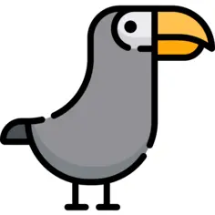 Toucan