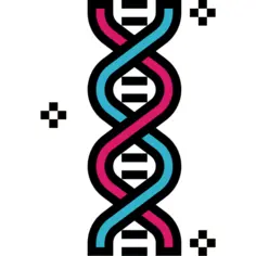 Dna