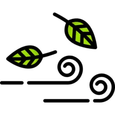风