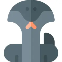 蛇