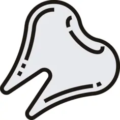 齿