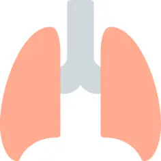 Lungs