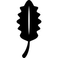 Leaf
