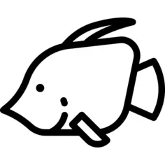 鱼