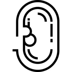 Ear