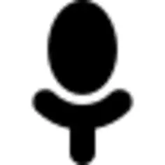 Recording microphone