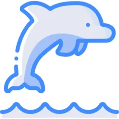 Dolphin