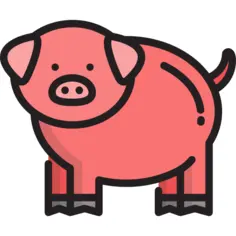 Pig
