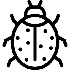 Ladybug