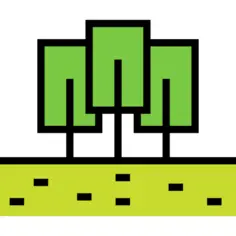 森林