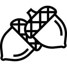 Acorn