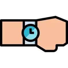 Wristwatch