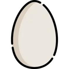 Egg
