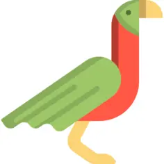 鹦鹉
