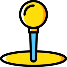 Pin