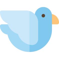 Dove