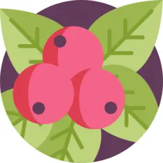 Berries