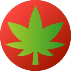 Marijuana