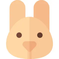 兔子