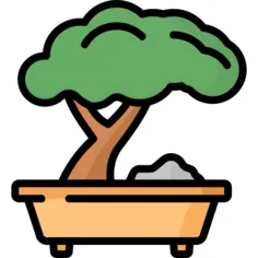 Bonsai