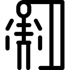 骨架