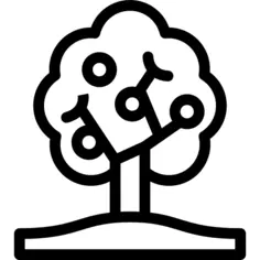 果树