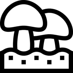 Mushroom