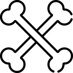 Bones