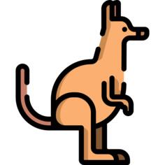 袋鼠