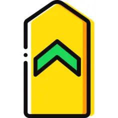 雪佛龙