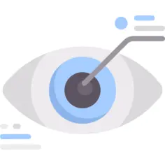 Eye