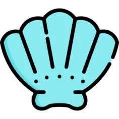 贝壳