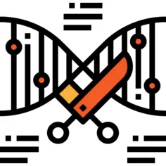 Dna