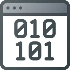 Binary code
