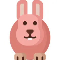 兔子