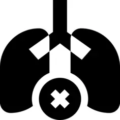 Lungs